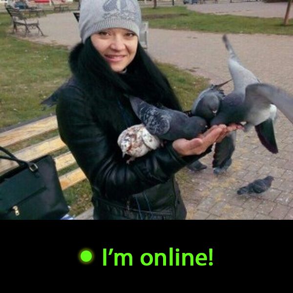 Last Time Online: Friday 5th of June 2026 08:28:45 AM