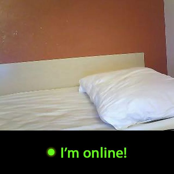 Last Time Online: Thursday 4th of June 2026 10:22:03 PM