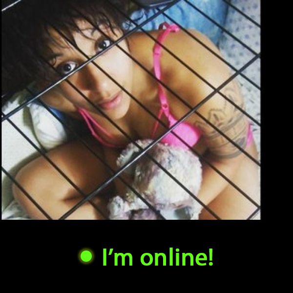 Last Time Online: Thursday 10th of September 2026 04:14:22 PM
