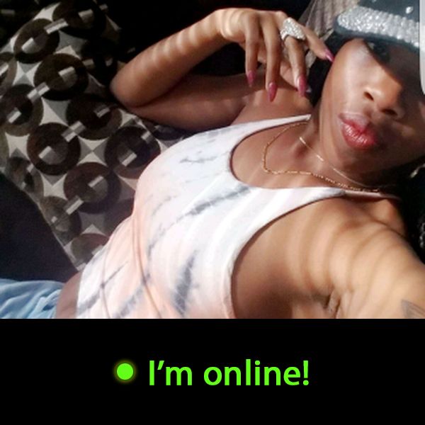 Last Time Online: Friday 5th of June 2026 03:36:22 AM