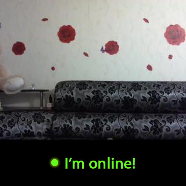 Last Time Online: Friday 5th of June 2026 01:32:52 AM