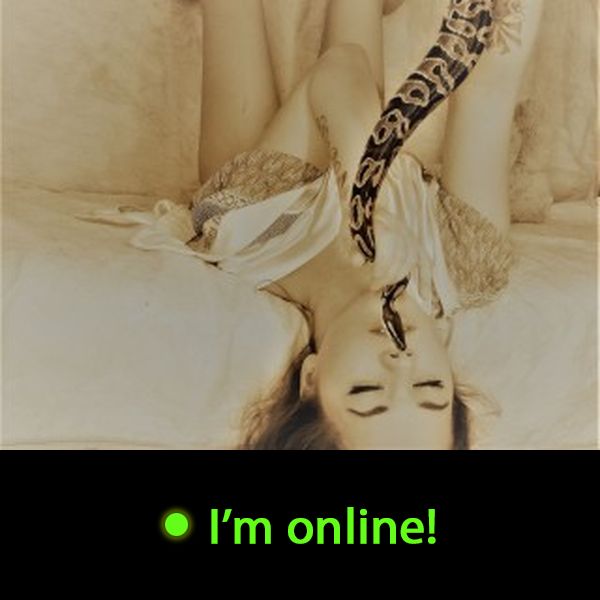 Last Time Online: Thursday 10th of September 2026 08:49:34 AM