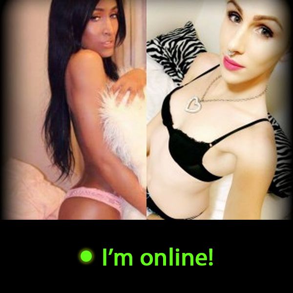 Last Time Online: Friday 5th of June 2026 03:41:03 AM