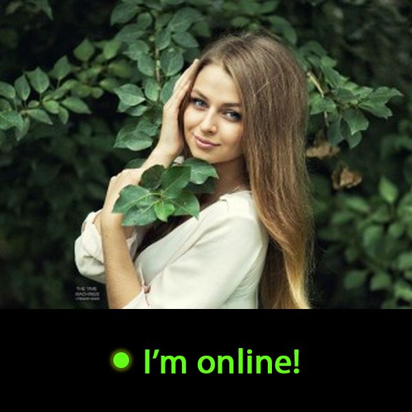 Last Time Online: Sunday 26th of July 2026 12:24:38 PM
