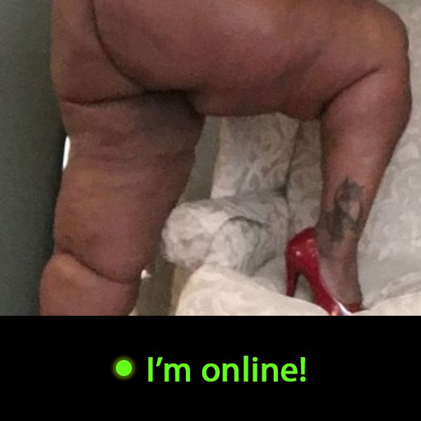 Last Time Online: Friday 5th of June 2026 01:25:08 AM
