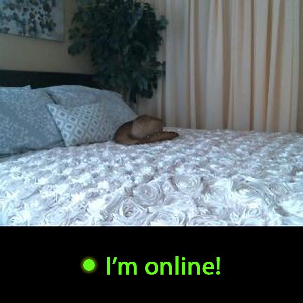 Last Time Online: Sunday 26th of July 2026 01:55:24 PM