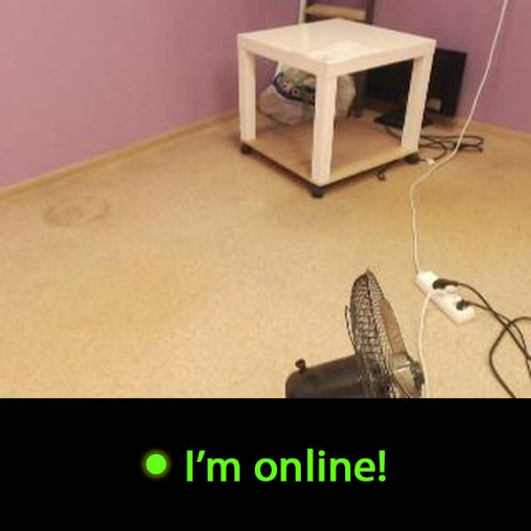 Last Time Online: Thursday 10th of September 2026 05:57:01 PM
