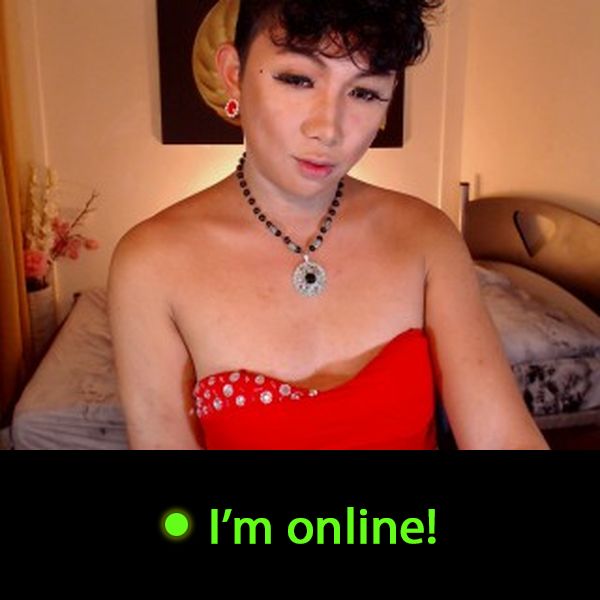Last Time Online: Sunday 26th of July 2026 03:55:05 PM