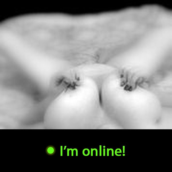 Last Time Online: Sunday 26th of July 2026 03:33:38 PM