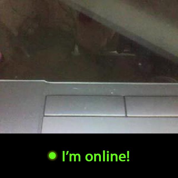 Last Time Online: Saturday 12th of September 2026 11:57:42 AM
