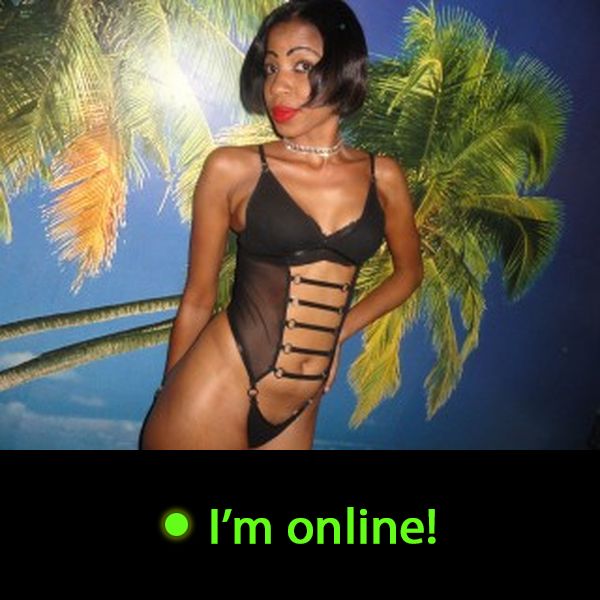 Last Time Online: Friday 5th of June 2026 03:38:27 AM