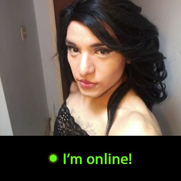 Last Time Online: Friday 5th of June 2026 01:48:19 AM