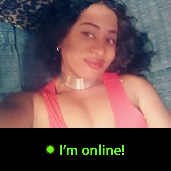 Last Time Online: Sunday 26th of July 2026 09:01:54 AM