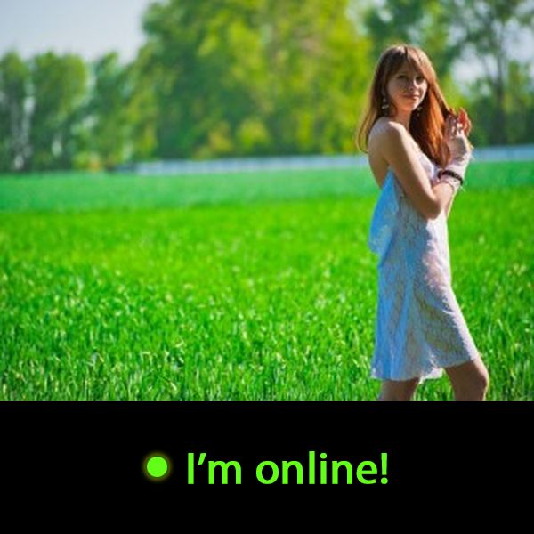 Last Time Online: Friday 5th of June 2026 04:11:16 AM