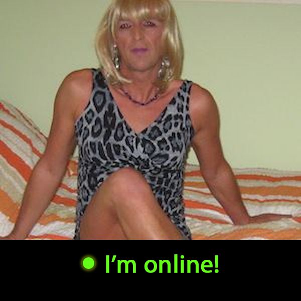 Last Time Online: Wednesday 9th of September 2026 11:22:17 PM
