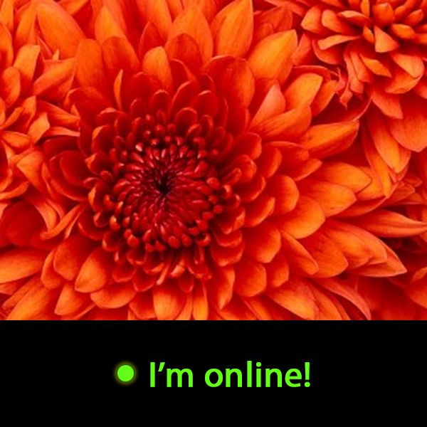 Last Time Online: Sunday 13th of September 2026 10:56:47 AM