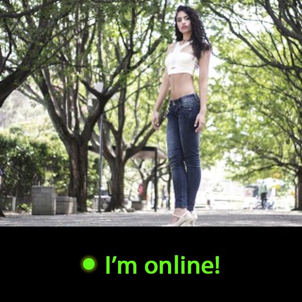 Last Time Online: Thursday 10th of September 2026 05:54:37 AM