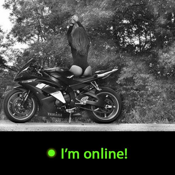 Last Time Online: Thursday 4th of June 2026 11:00:06 PM